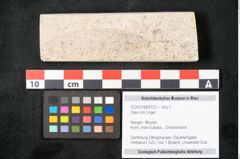 Foto (Objekt + Etikett) von Olea noti Unger (NHMW-GEO-2024-0188-8152)